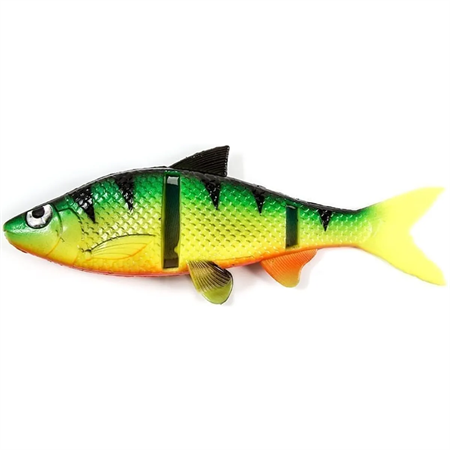 LIVING ROACH FIRETIGER 60G