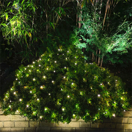 LightsOn Net - ljusnät