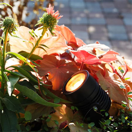 MARKSPOT ARCUS SVART