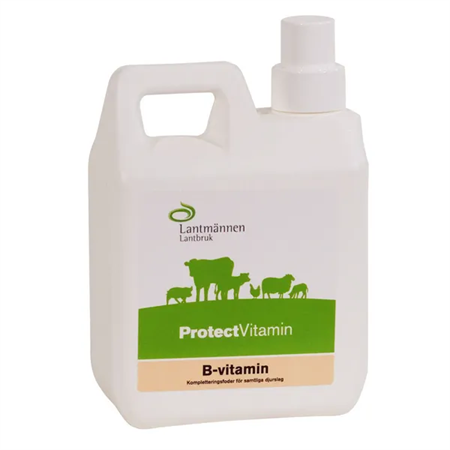 PROTECT B FLYT 1L/ST