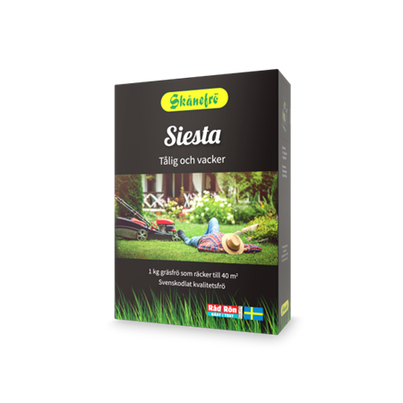 GRÄSFRÖ SIESTA   1 KG