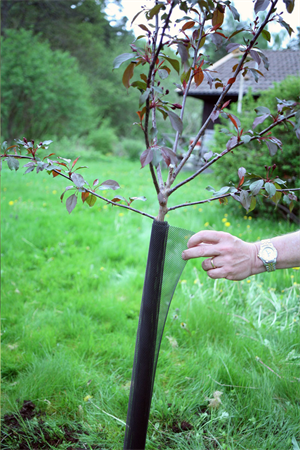 STAMSKYDD 10CM, 2-PK