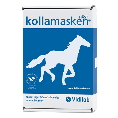 KOLLAMASKEN 1 HÄST+ODLING