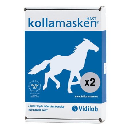 KOLLAMASKEN 2 HÄSTAR