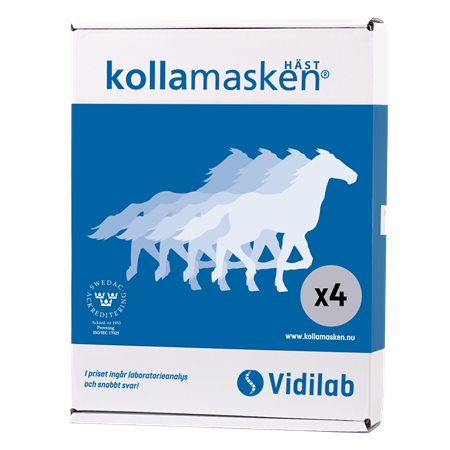 KOLLAMASKEN 4 HÄSTAR