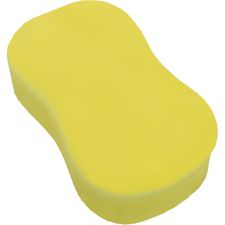 JUMBOSVAMP TURTLE SEAB