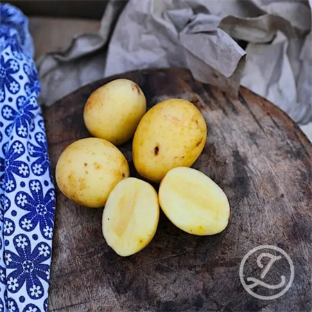 SÄTTPOTATIS SOLIST EKO 1KG