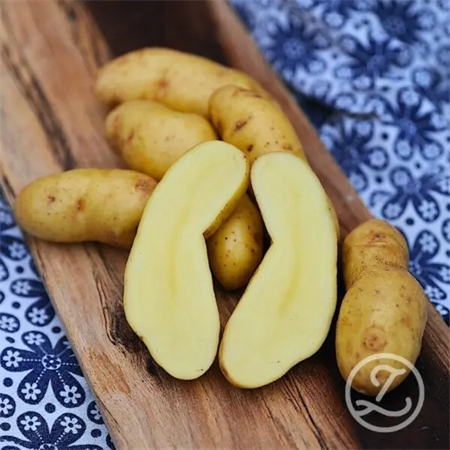 SÄTTPOTATIS MANDEL 1KG