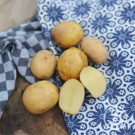 SÄTTPOTATIS PRINCESS EKO 2 KG