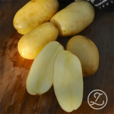 SÄTTPOTATIS HELMI 1KG